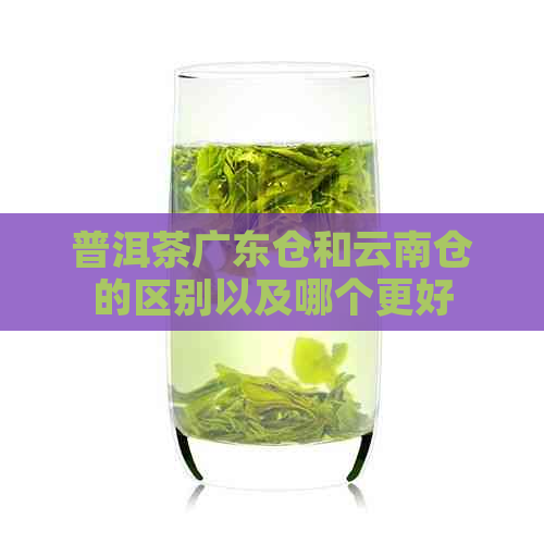 普洱茶广东仓和云南仓的区别以及哪个更好