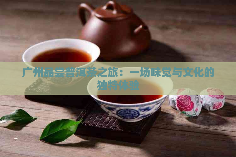 广州品尝普洱茶之旅：一场味觉与文化的独特体验