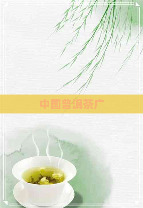 中国普洱茶广