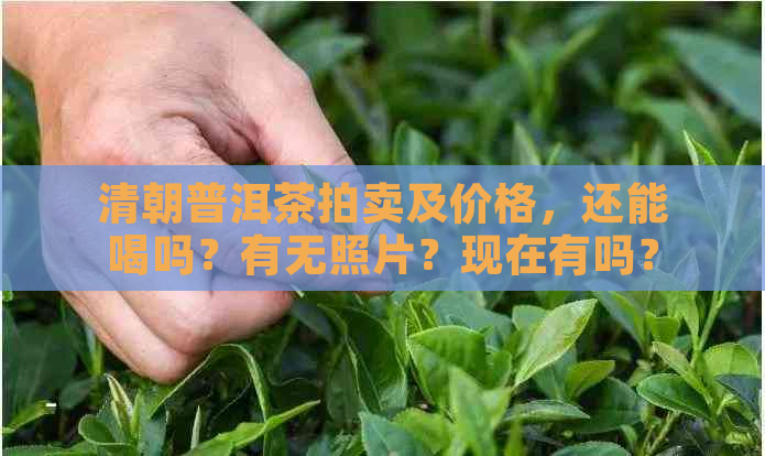 清朝普洱茶拍卖及价格，还能喝吗？有无照片？现在有吗？