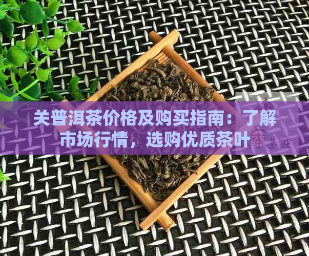 关普洱茶价格及购买指南：了解市场行情，选购优质茶叶