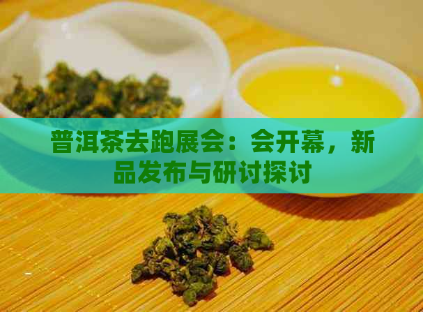 普洱茶去跑展会：会开幕，新品发布与研讨探讨