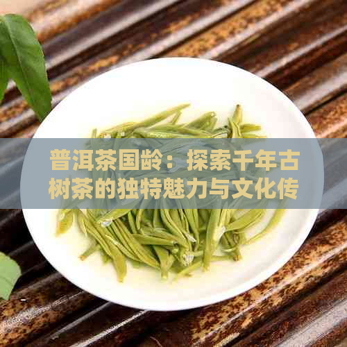 普洱茶国龄：探索千年古树茶的独特魅力与文化传承