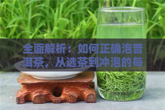 全面解析：如何正确泡普洱茶，从选茶到冲泡的每一个步骤都有解答！