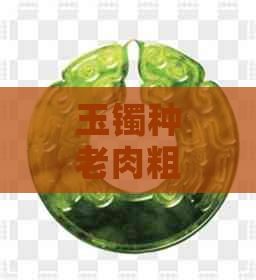 玉镯种老肉粗