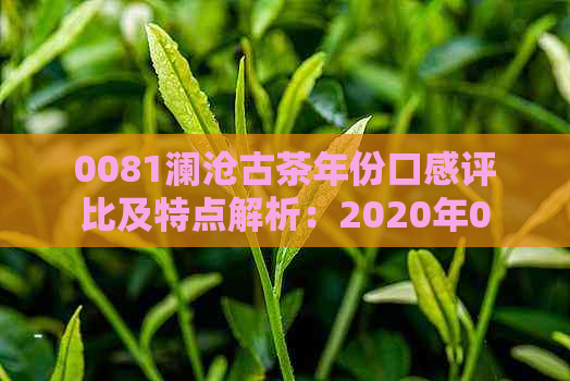 0081澜沧古茶年份口感评比及特点解析：2020年0083、0086表现如何？