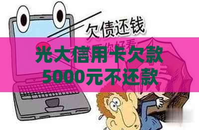 光大信用卡欠款5000元不还款：可能面临的法律风险与解决方法