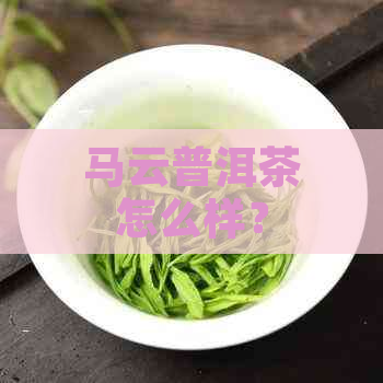 马云普洱茶怎么样？