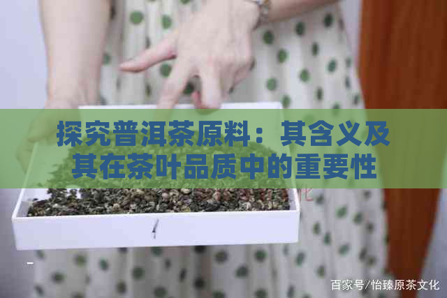 探究普洱茶原料：其含义及其在茶叶品质中的重要性