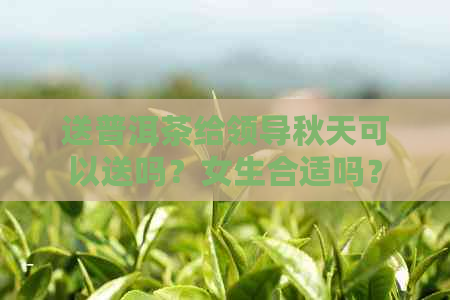 送普洱茶给领导秋天可以送吗？女生合适吗？怎么送？送一饼好吗？