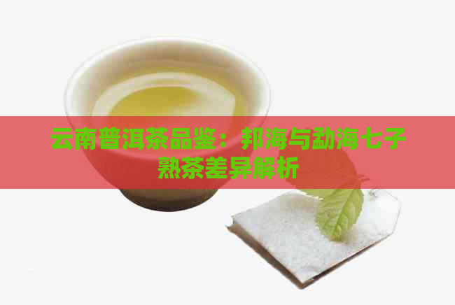 云南普洱茶品鉴：邦海与勐海七子熟茶差异解析