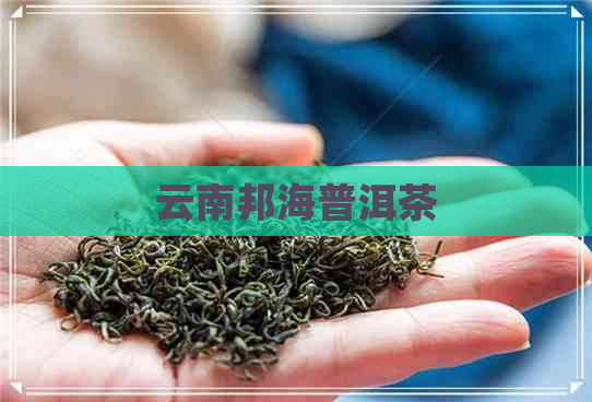 云南邦海普洱茶