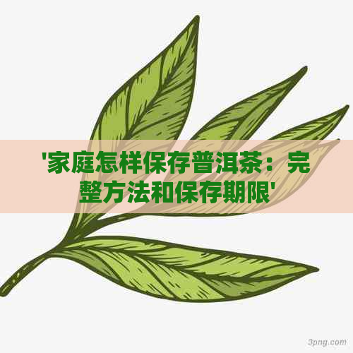 '家庭怎样保存普洱茶：完整方法和保存期限'