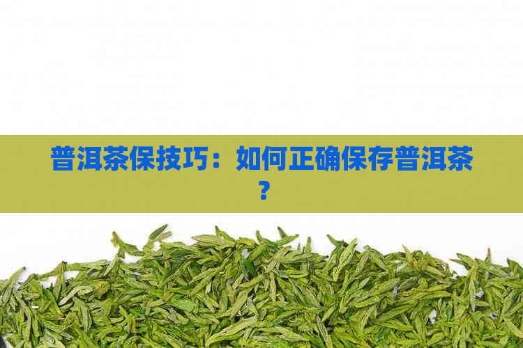 普洱茶保技巧：如何正确保存普洱茶？