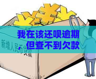 我在该还呗逾期，但查不到欠款金额，如何处理？