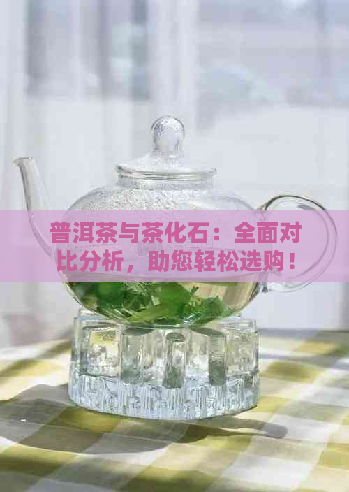 普洱茶与茶化石：全面对比分析，助您轻松选购！