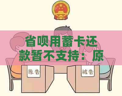 省呗用蓄卡还款暂不支持：原因与解决方案