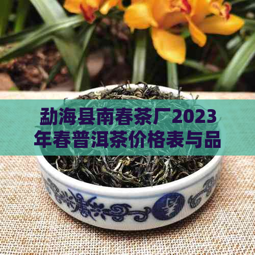 勐海县南春茶厂2023年春普洱茶价格表与品质详解