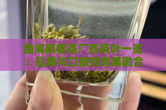 勐海南春茶厂各茶叶一览：品质与口感的完美融合，让您尽享茶道魅力