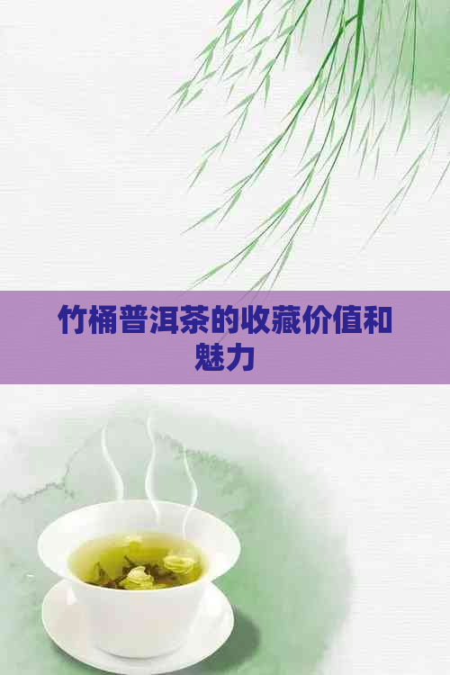 竹桶普洱茶的收藏价值和魅力