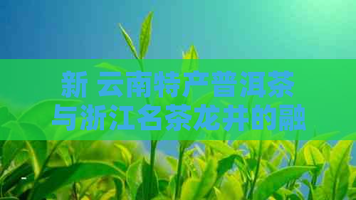 新 云南特产普洱茶与浙江名茶龙井的融合之美