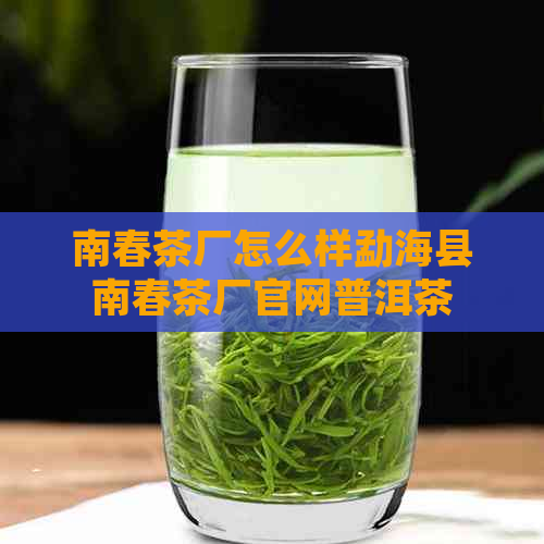 南春茶厂怎么样勐海县南春茶厂官网普洱茶好不好