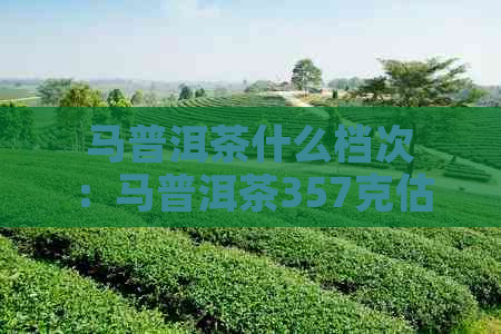 马普洱茶什么档次：马普洱茶357克估价及价格分析