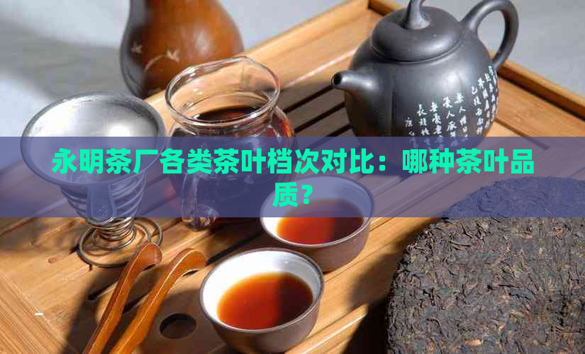 永明茶厂各类茶叶档次对比：哪种茶叶品质？