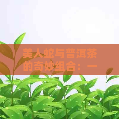 美人蛇与普洱茶的奇妙组合：一款名为'神秘之恋'的茶品揭秘