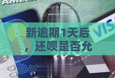 新逾期1天后，还呗是否允手动还款？如何进行手动还款操作？