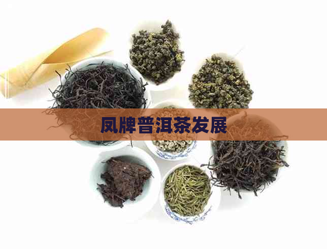 凤牌普洱茶发展