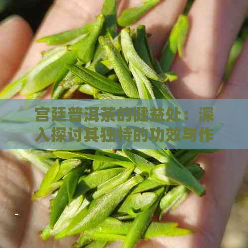 宫廷普洱茶的健益处：深入探讨其独特的功效与作用