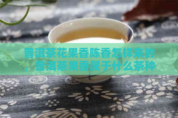 普洱茶花果香陈香怎样来的，普洱茶果香属于什么茶种？