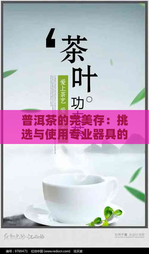 普洱茶的完美存：挑选与使用专业器具的关键要素