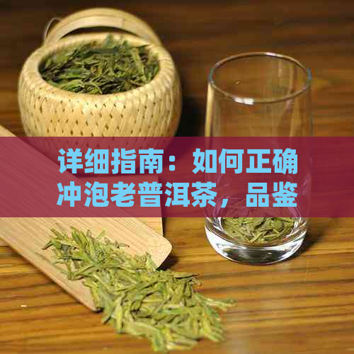 详细指南：如何正确冲泡老普洱茶，品鉴其深厚韵味