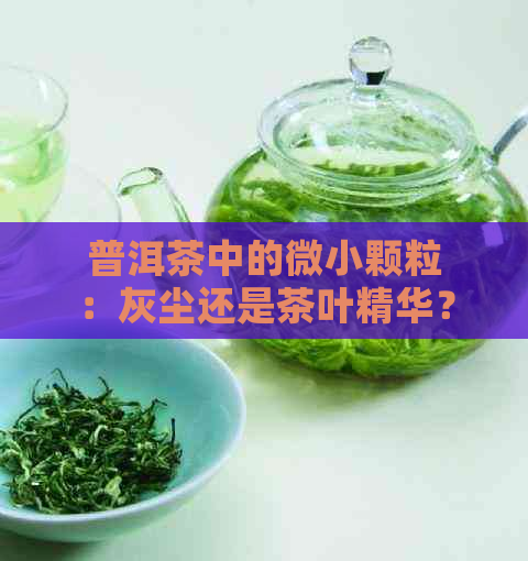 普洱茶中的微小颗粒：灰尘还是茶叶精华？如何判断与饮用