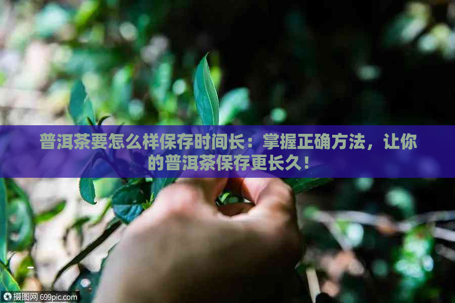 普洱茶要怎么样保存时间长：掌握正确方法，让你的普洱茶保存更长久！