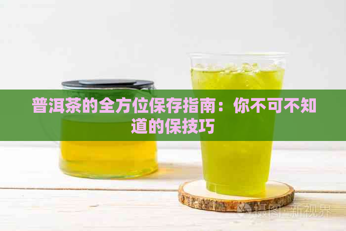 普洱茶的全方位保存指南：你不可不知道的保技巧