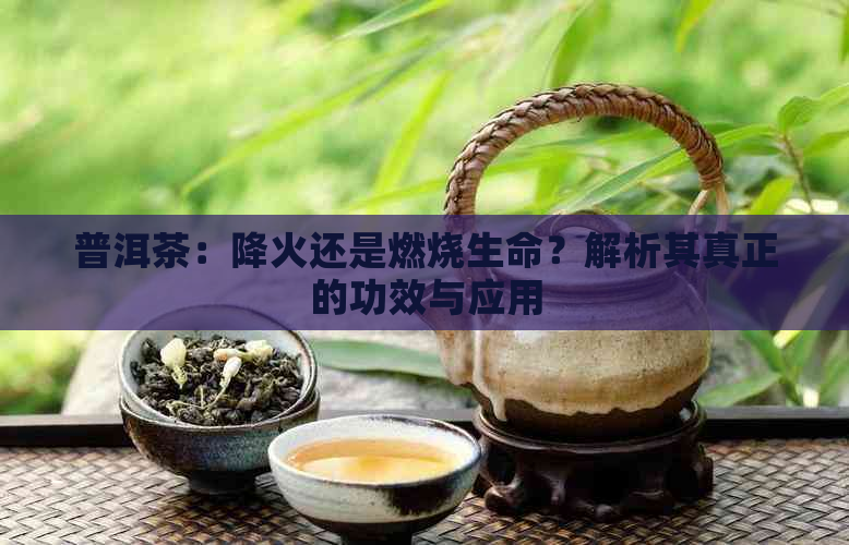 普洱茶：降火还是燃烧生命？解析其真正的功效与应用