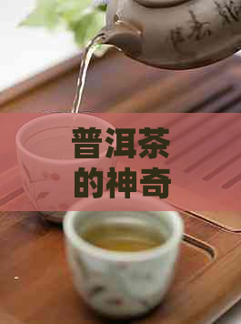 普洱茶的神奇疗效：实际案例分享与科学研究证实