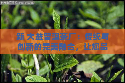 新 大益普洱茶厂：传统与创新的完美融合，让您品味生活的醇香