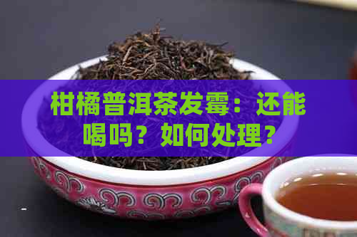 柑橘普洱茶发霉：还能喝吗？如何处理？