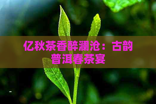 亿秋茶香醉澜沧：古韵普洱春茶宴