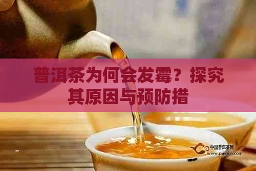 普洱茶为何会发霉？探究其原因与预防措