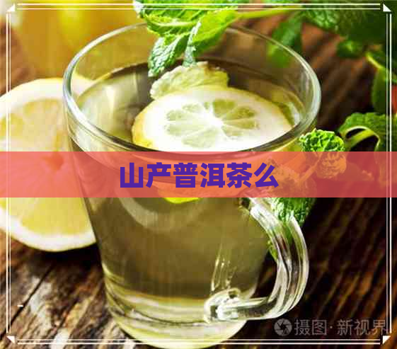 山产普洱茶么