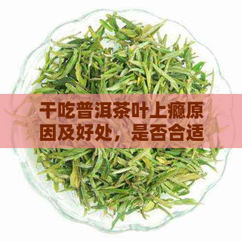 干吃普洱茶叶上瘾原因及好处，是否合适？了解真相与效果