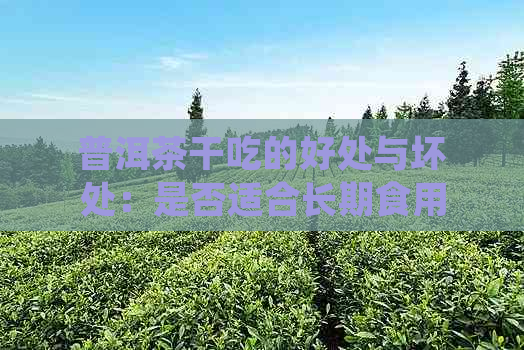 普洱茶干吃的好处与坏处：是否适合长期食用？如何正确品尝？