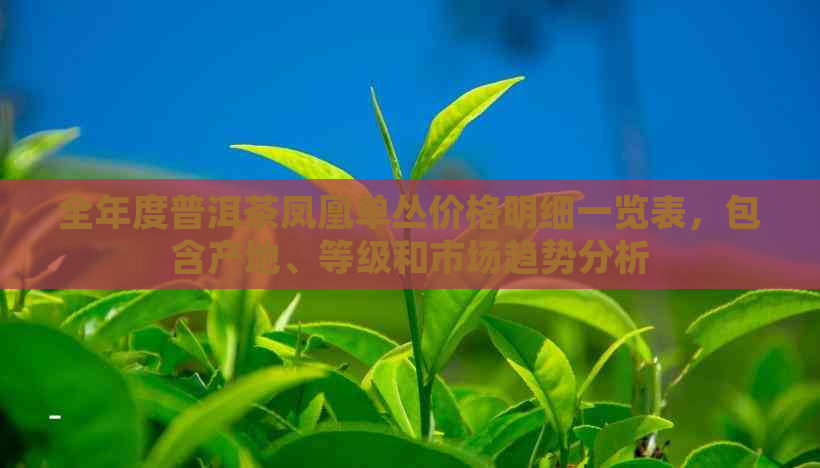 全年度普洱茶凤凰单丛价格明细一览表，包含产地、等级和市场趋势分析