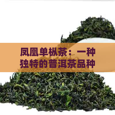 凤凰单枞茶：一种独特的普洱茶品种，了解其制作过程和特点