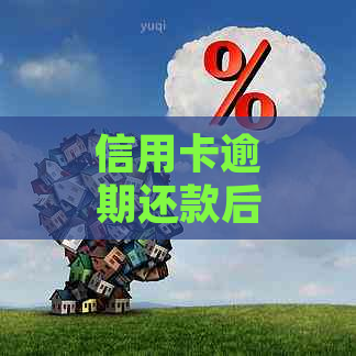 信用卡逾期还款后多久可以重新申请办理？不同情况的处理建议及影响分析